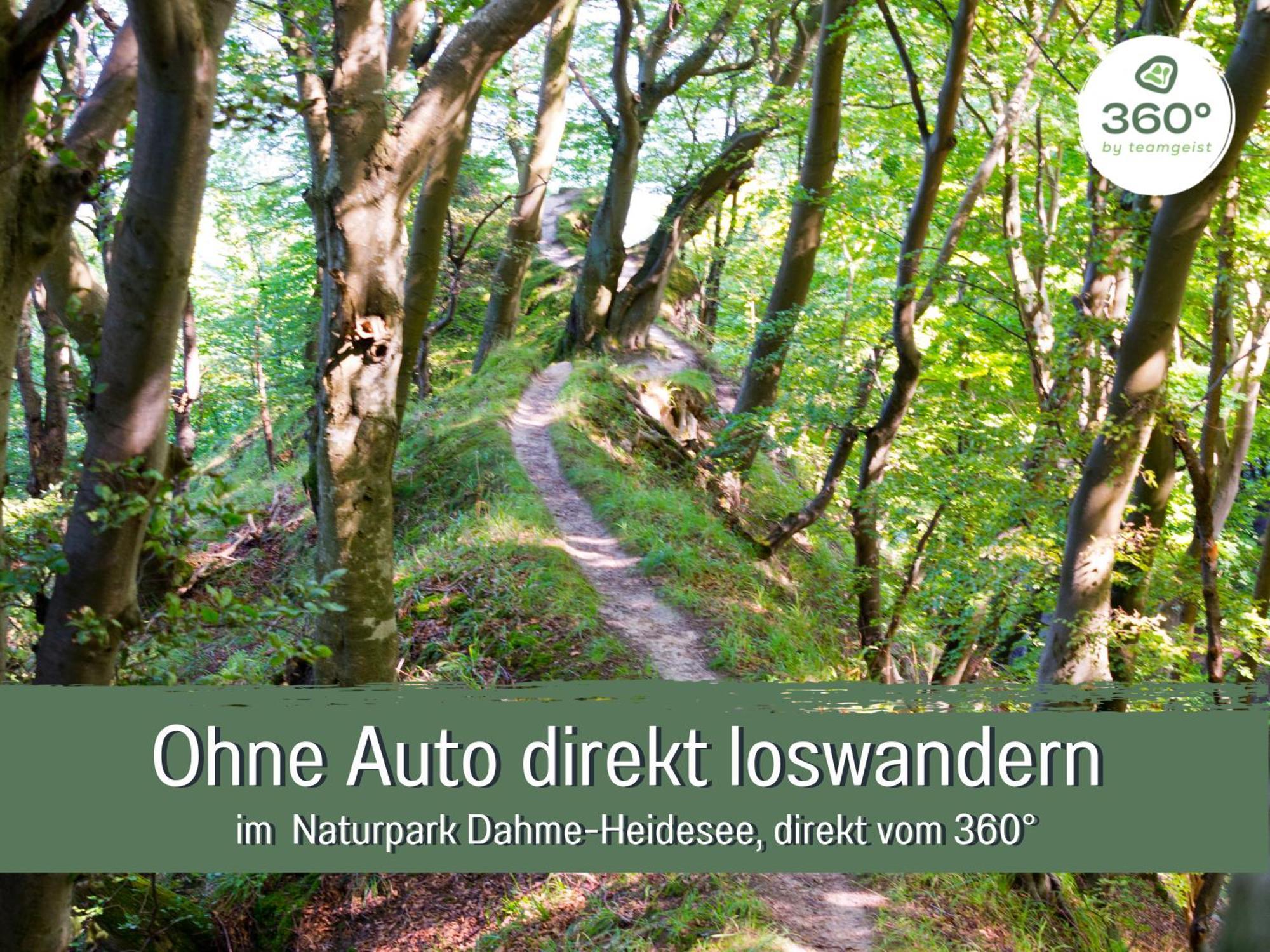 360 Grad By Teamgeist - Familienfreundlich - Direkt Am Mitten Im Naturpark - Winteraktivitaeten Vor Ort Apartment *